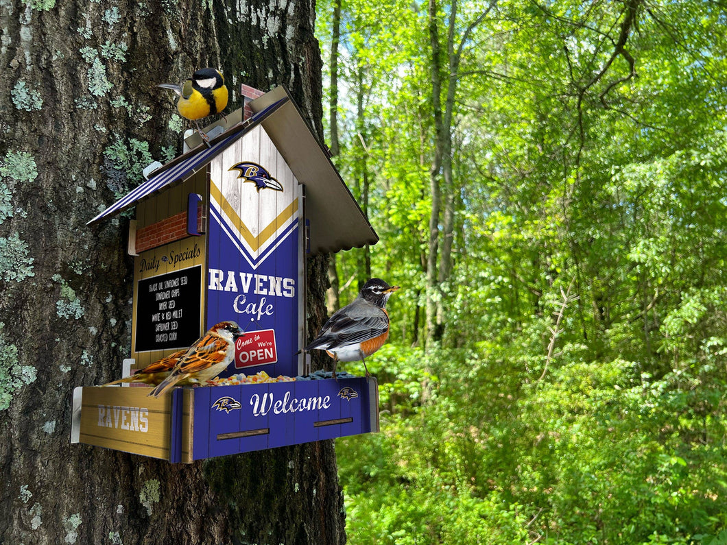 Baltimore Ravens  Bird Feeder