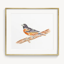 Load image into Gallery viewer, oriole watercolor 5x7
