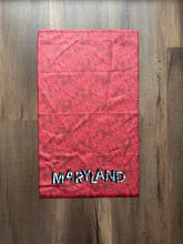 Load image into Gallery viewer, Maryland Icons Hand Towel
