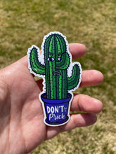 Load image into Gallery viewer, Don&#39;t Be a Prick Cactus Sticker
